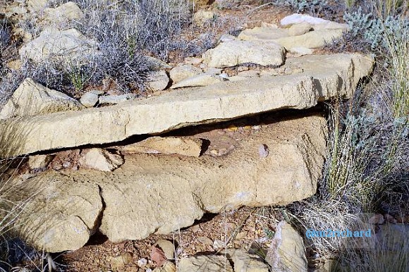 Two Guns AZ/363dcb60-0860-41c6-a491-abada925caad.JPG