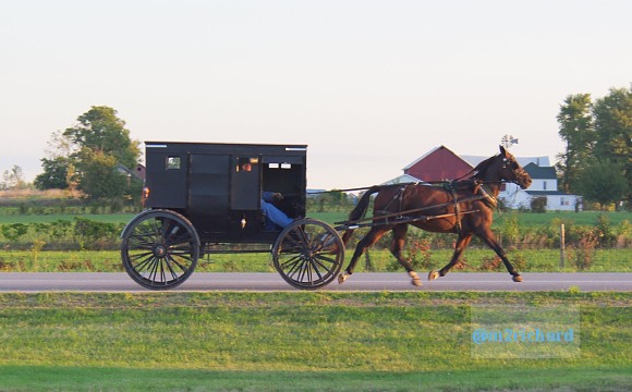 2010-09-16 IN_Amish-transportation/IN_LA 040.JPG
