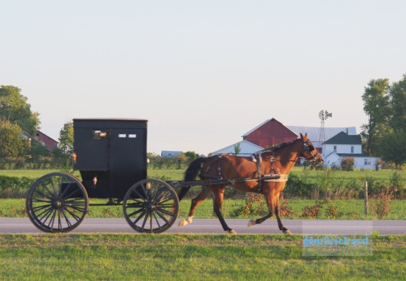2010-09-16 IN_Amish-transportation/IN_LA 041.JPG