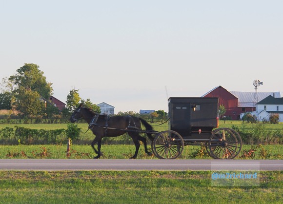 2010-09-16 IN_Amish-transportation/IN_LA 043.JPG