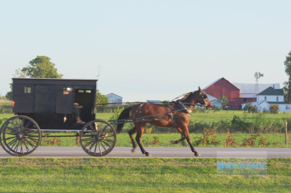 2010-09-16 IN_Amish-transportation/IN_LA 047.JPG
