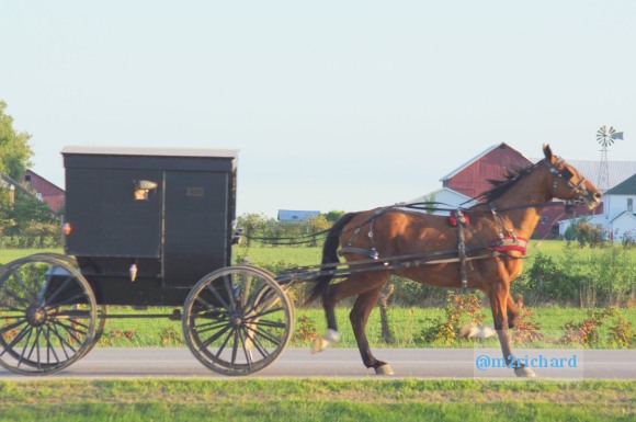 2010-09-16 IN_Amish-transportation/IN_LA 049.JPG
