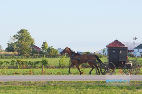 2010-09-16 IN_Amish-transportation/IN_LA 051.JPG