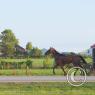 Amish Transportation
