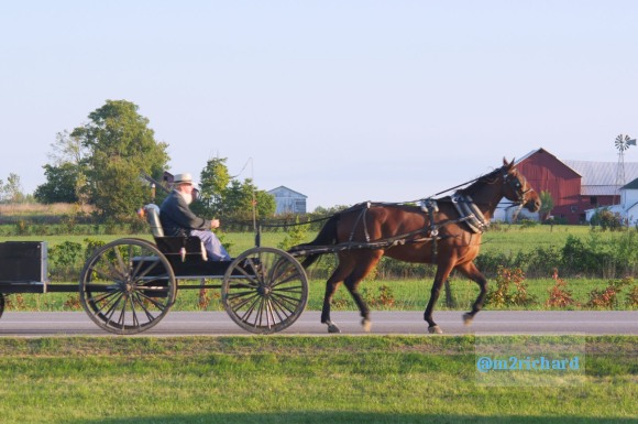 2010-09-16 IN_Amish-transportation/IN_LA 052.JPG