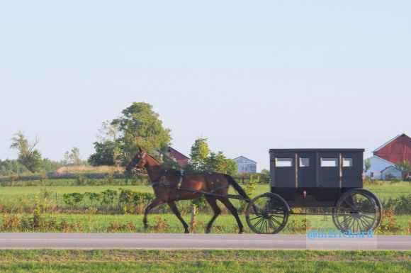 2010-09-16 IN_Amish-transportation/IN_LA 053.JPG
