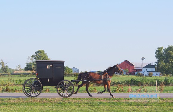 2010-09-16 IN_Amish-transportation/IN_LA 057.JPG