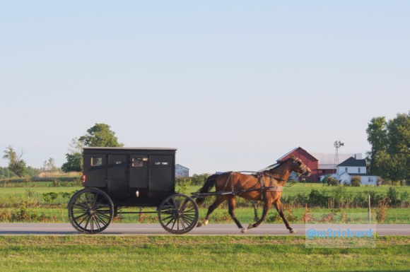 2010-09-16 IN_Amish-transportation/IN_LA 058.JPG