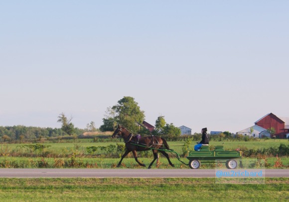 2010-09-16 IN_Amish-transportation/IN_LA 059.JPG