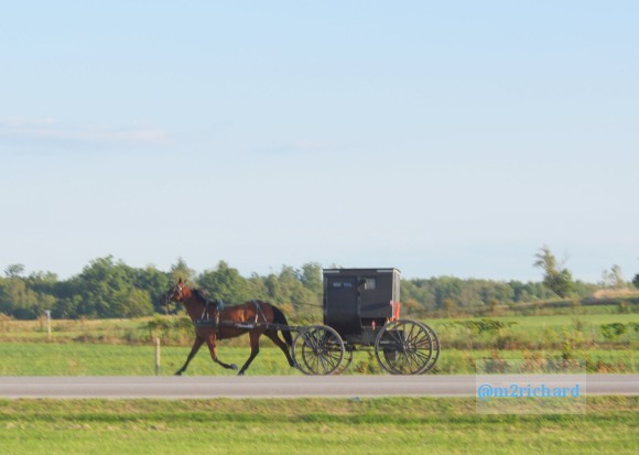 2010-09-16 IN_Amish-transportation/IN_LA 060.JPG
