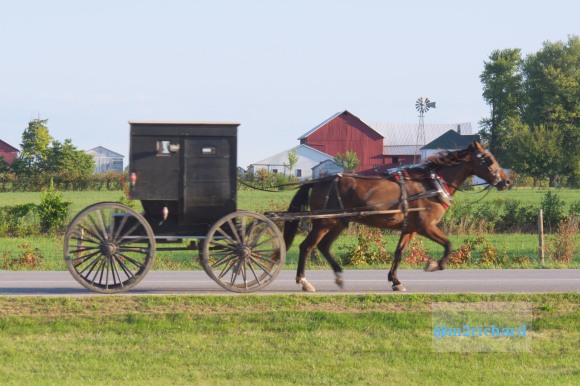 2010-09-16 IN_Amish-transportation/IN_LA 061.JPG