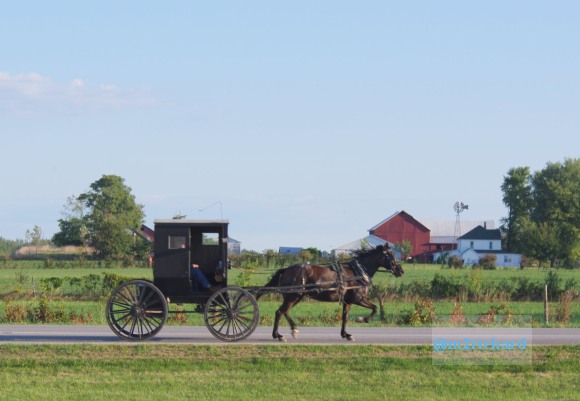 2010-09-16 IN_Amish-transportation/IN_LA 062.JPG