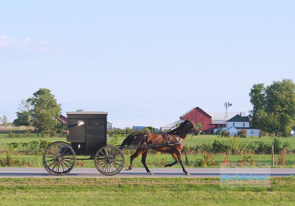 2010-09-16 IN_Amish-transportation/IN_LA 063.JPG