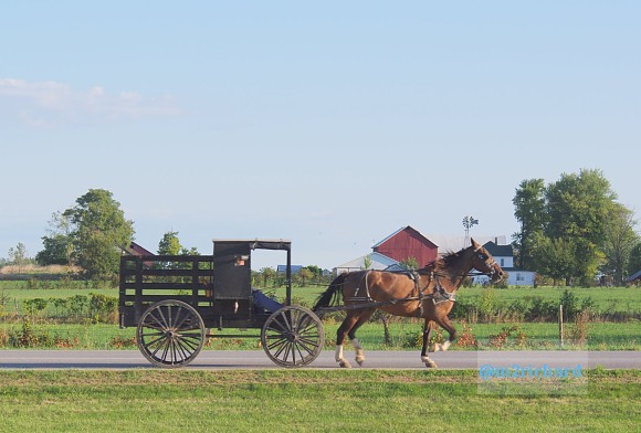 2010-09-16 IN_Amish-transportation/IN_LA 064.JPG