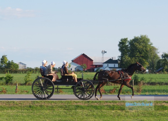 2010-09-16 IN_Amish-transportation/IN_LA 066.JPG
