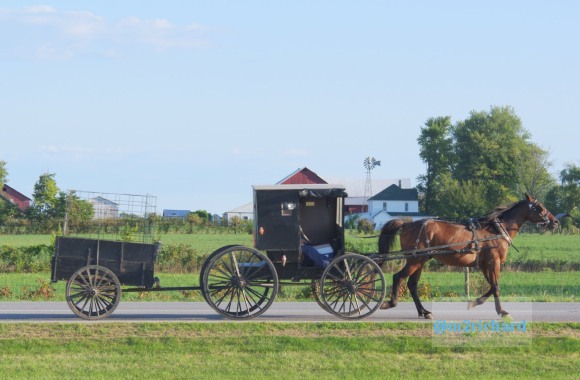 2010-09-16 IN_Amish-transportation/IN_LA 069.JPG