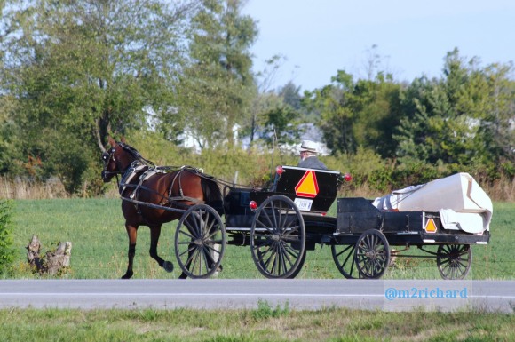 2010-09-16 IN_Amish-transportation/IN_LA 075.JPG