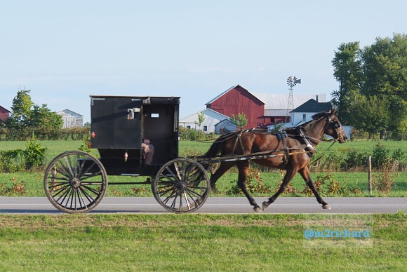 2010-09-16 IN_Amish-transportation/IN_LA 078.JPG