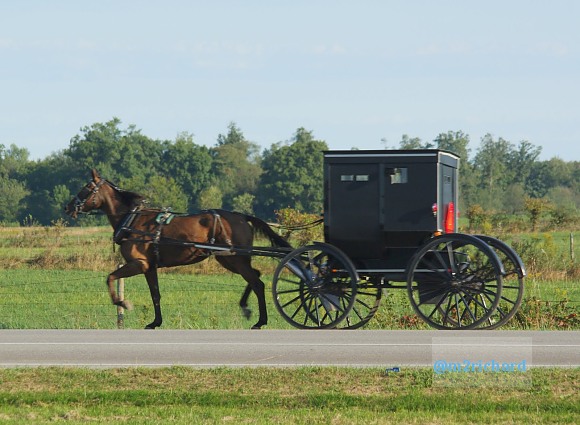 2010-09-16 IN_Amish-transportation/IN_LA 080.JPG