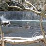 Blakemore Mill