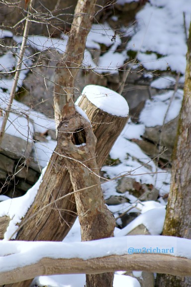 2010-12-27 Blakemore mill Dec/Blakemore mill Dec 083.JPG