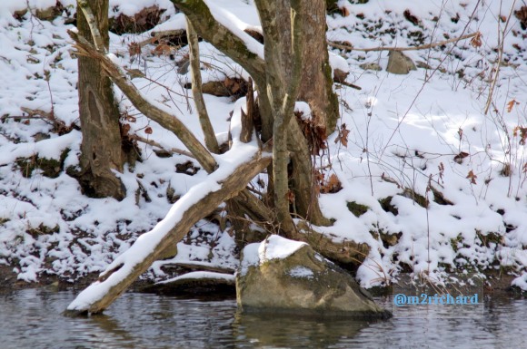 2010-12-27 Blakemore mill Dec/Blakemore mill Dec 096.JPG