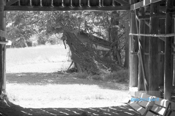 Candid Favorites From Times Past/LaborDay-BW-095.jpg