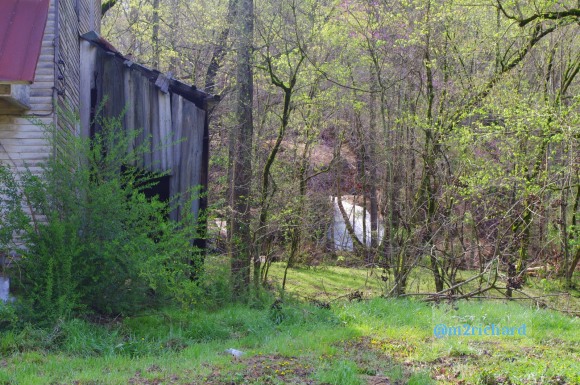 Grist mills in Greene County/GreenvilleTN 005.JPG