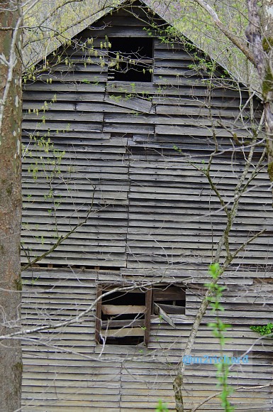 Grist mills in Greene County/TwodaysinGreenville 044.JPG