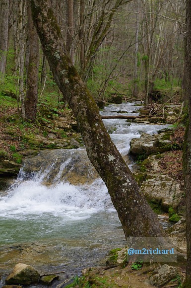 Grist mills in Greene County/TwodaysinGreenville 052.JPG