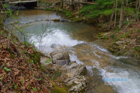 Grist mills in Greene County/TwodaysinGreenville 065.JPG