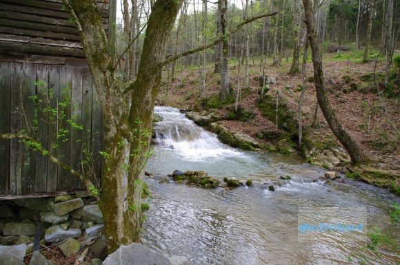 Grist mills in Greene County/TwodaysinGreenville 069.JPG