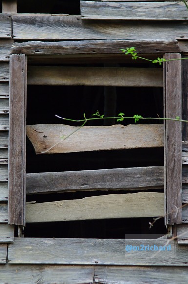 Grist mills in Greene County/TwodaysinGreenville 095.JPG