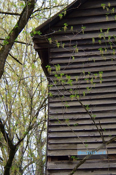 Grist mills in Greene County/TwodaysinGreenville 097.JPG