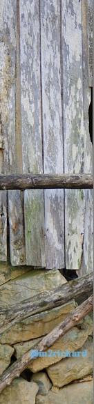 Grist mills in Greene County/TwodaysinGreenville 098.JPG