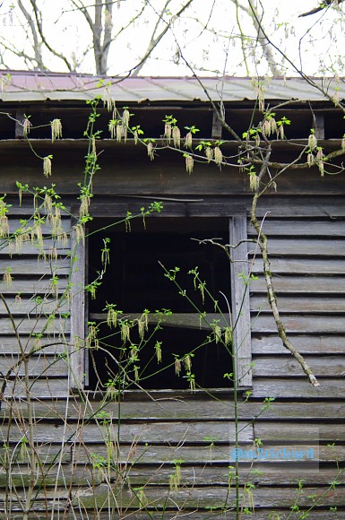 Grist mills in Greene County/TwodaysinGreenville 103.JPG