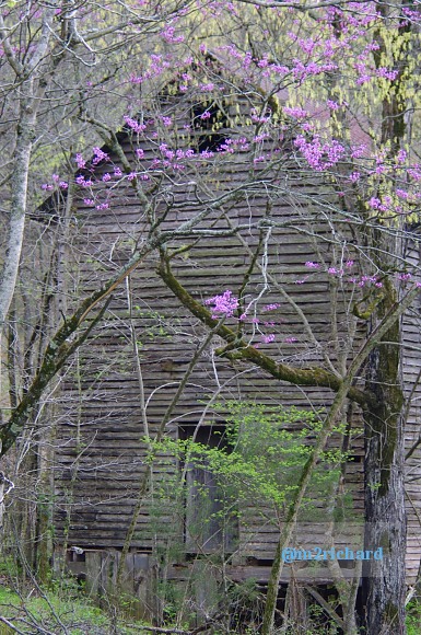 Grist mills in Greene County/TwodaysinGreenville 108.JPG