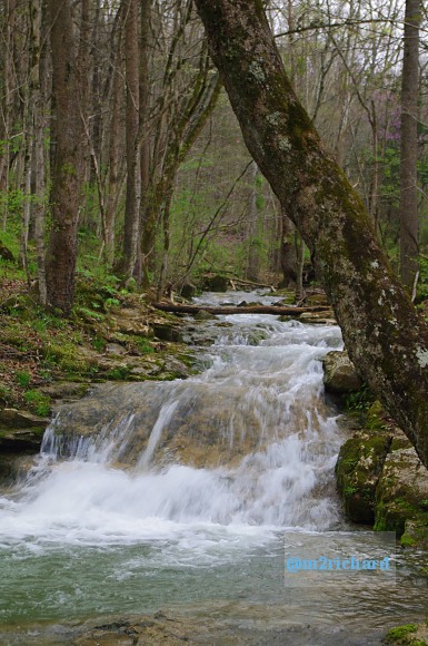 Grist mills in Greene County/TwodaysinGreenville 121.JPG