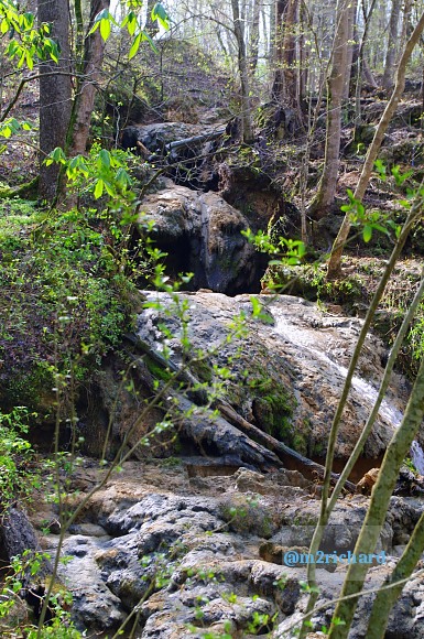 Grist mills in Greene County/TwodaysinGreenville 174.JPG