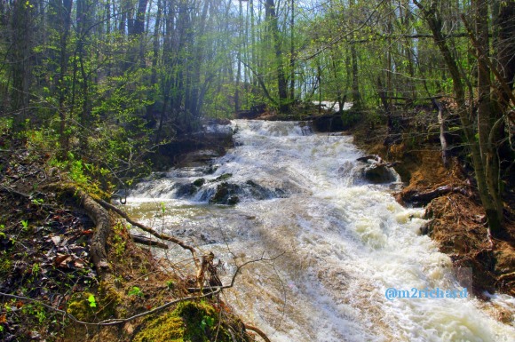 Grist mills in Greene County/TwodaysinGreenville 179.JPG