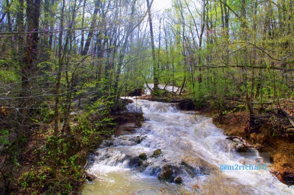 Grist mills in Greene County/TwodaysinGreenville 180.JPG