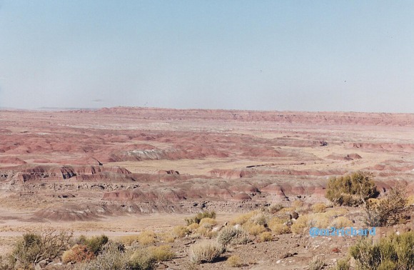 Holbrook Area/east-of-holbrook-AZ-13.jpg