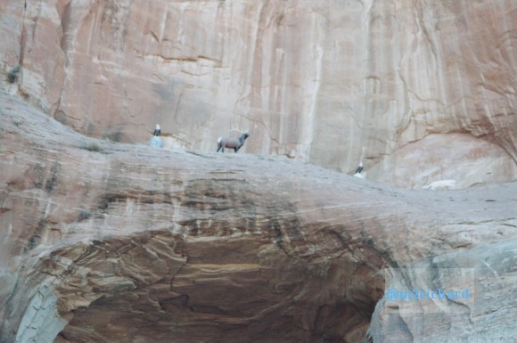 Holbrook Area/east-of-holbrook-AZ-1.jpg