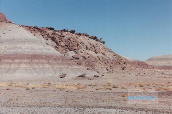Holbrook Area/holbrook-petrified-12.jpg