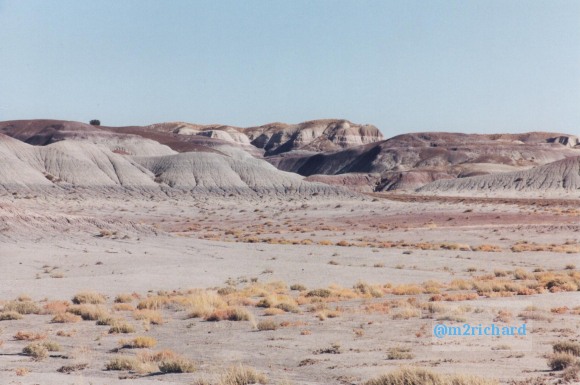 Holbrook Area/holbrook-petrified-13.jpg