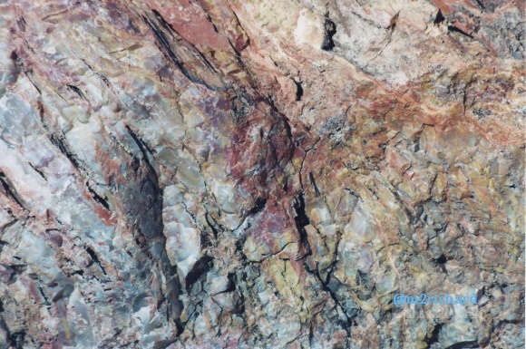 Holbrook Area/holbrook-petrified-1.jpg