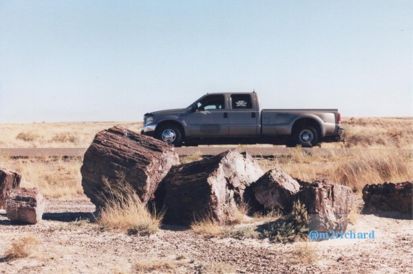 Holbrook Area/holbrook-petrified-5.jpg