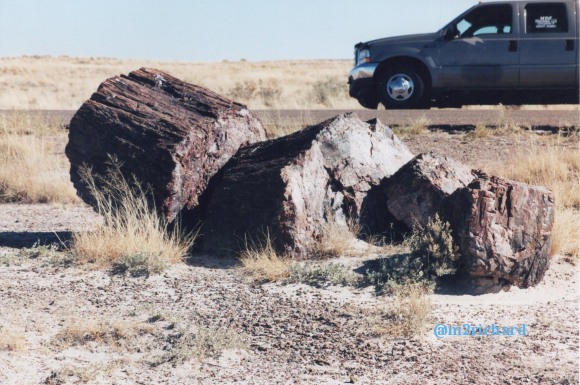 Holbrook Area/holbrook-petrified-6.jpg
