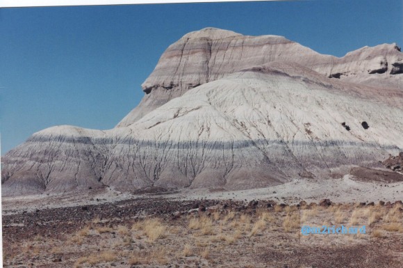 Holbrook Area/holbrook-petrified-7.jpg
