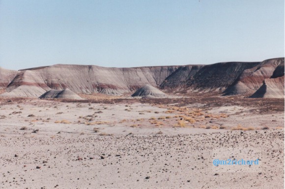 Holbrook Area/holbrook-petrified-8.jpg